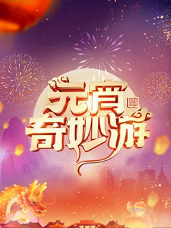 2024河南元宵奇妙游